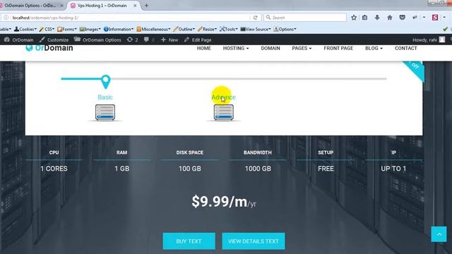 How to Setup VPS Hosting Page | OrDomain WordPress Theme смотреть онлайн