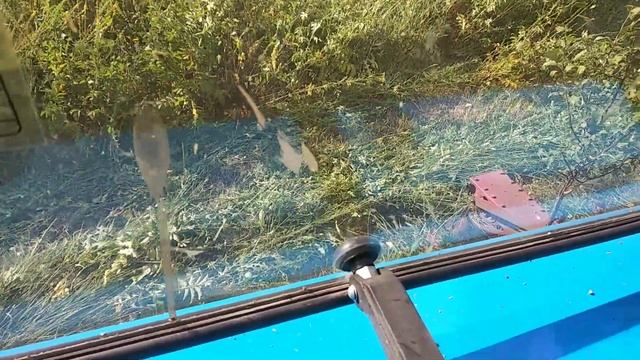 Трактор МТЗ 82.1 с роторной косилкой Виракс в работе. смотреть онлайн