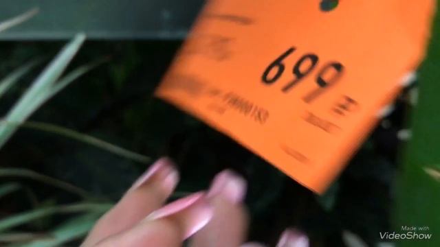 Уцененные цветы в Бауцентре. смотреть онлайн