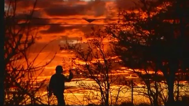 Sadriddin -  Begoo    صدرالدین -  Садриддин Начмиддин