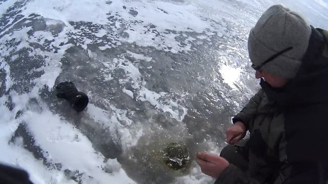 крокодил не ловится, не растет кокос :) смотреть онлайн