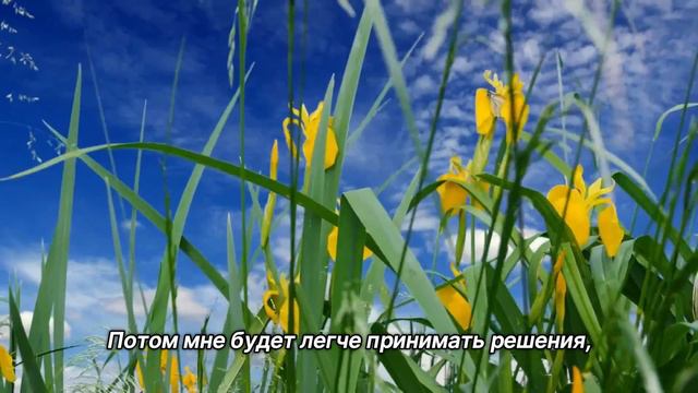 "Отстранение". 21 августа. Мужество меняться. Ежедневник для созависимых смотреть онлайн