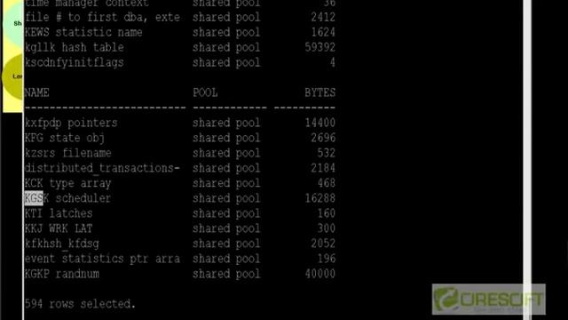 SCPT 12 : Oracle System Global Area смотреть онлайн