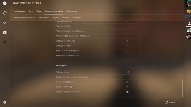 Как открыть консоль в cs go смотреть онлайн
