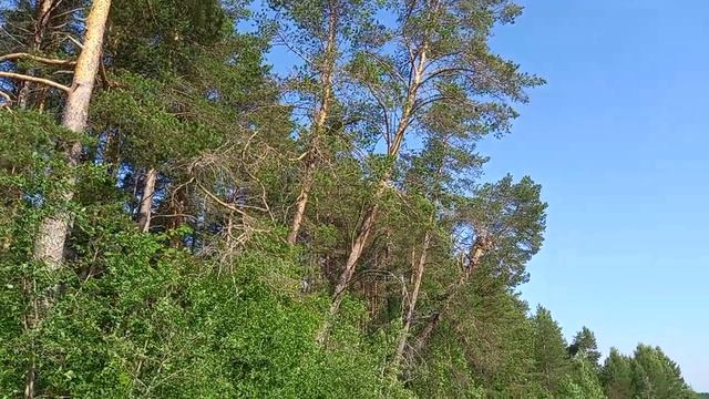 Золотой песок. Карелия. смотреть онлайн