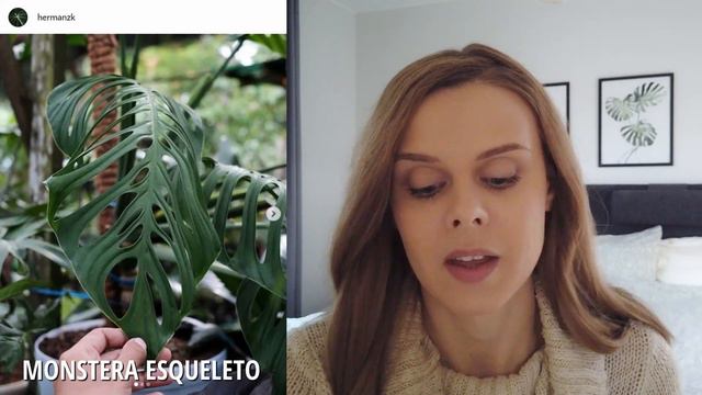 TOP 7 RARE & UNCOMMON WISHLIST PLANTS 2021 | Aroids and hoya смотреть онлайн