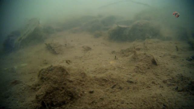1. ПОДВОДНАЯ СЪЁМКА поклёвок на поплавок. Рыбалка. речка Рожайка. Underwater. Fishing angeln câu ca смотреть онлайн