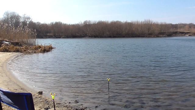 Ловля весной на фидер 2020. Поклевки на фидер крупным планом. Прикормка с мотылём и гаммарусом. смотреть онлайн