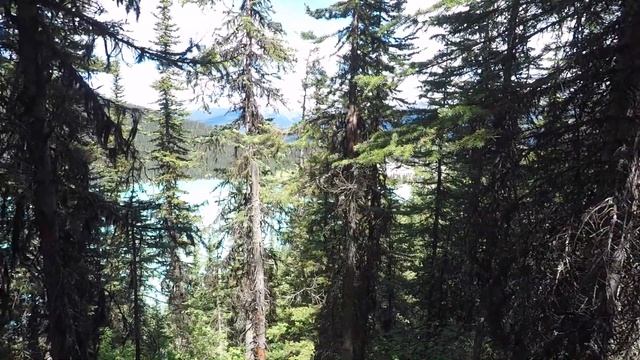 ОС #180 / Озеро Луиз в Национальном Парке 