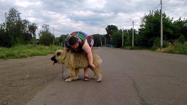 MOV 0694 смотреть онлайн
