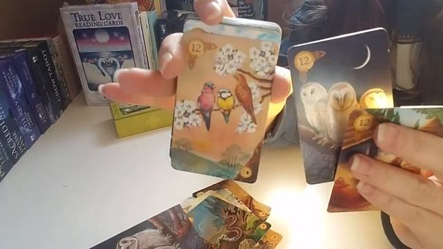HUGE DECK DECLUTTER!! #1 tarot & oracle cards leaving my collection 2022 смотреть онлайн