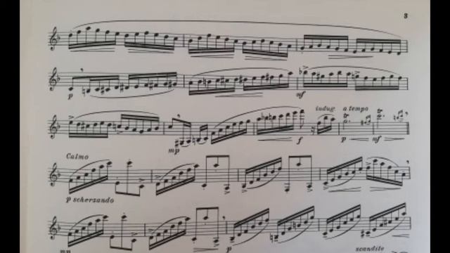 Karl Baermann - 16 Grand Concert Studies from op.64 for clarinet - n.2 смотреть онлайн