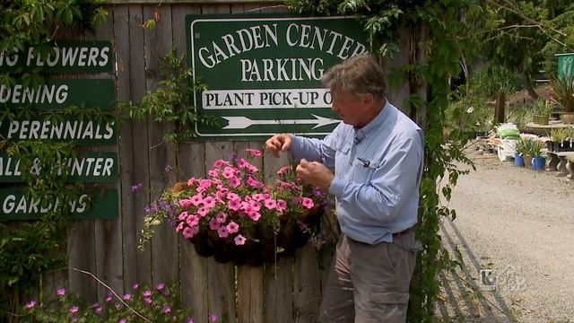 Planting Flowers For Large Containers смотреть онлайн