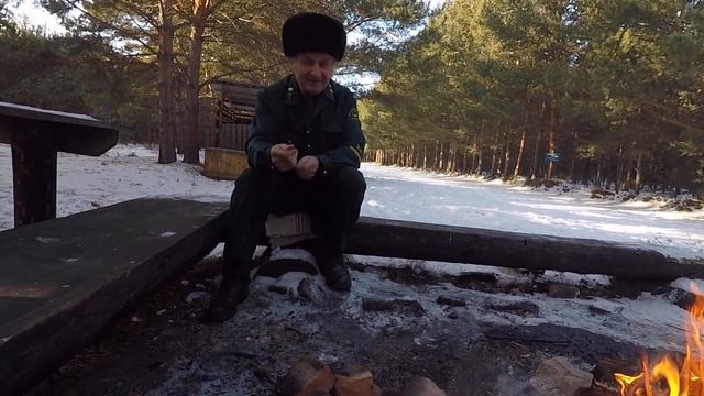 Как воруют лес| Откровения лесника смотреть онлайн