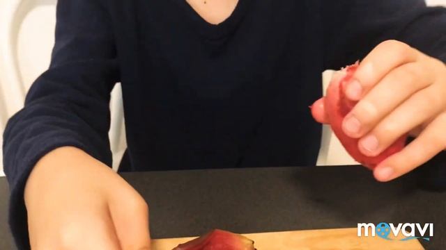 Кактусы, которые едят ! Съедобные плоды кактуса смотреть онлайн