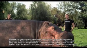 Билайн: Тариф «Все включено» со Светлаковым и бегемотом (2015)