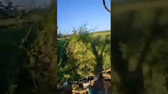 На Запорожском направлении ВСУ решил заснять своих побратимов на танке, но что-то пошло не так… NE. смотреть онлайн