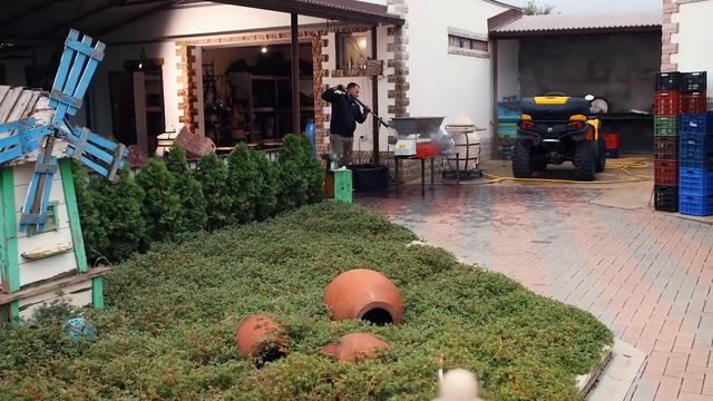 ДОМАШНЕЕ ВИНО из ВЫРАЩЕННОГО ДОМА ВИНОГРАДА смотреть онлайн