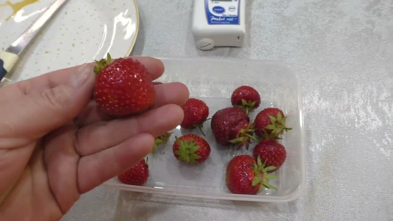 1 серия. КЛУБНИКА. Замер сахара в ранних сортах клубники.