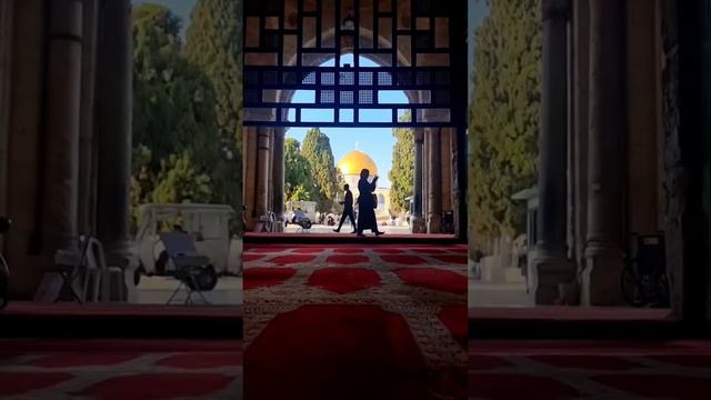 Jerusalem in 10 seconds. #jerusalem #travelvlog #travelgram #history #masjidalaqsa #domeoftherock смотреть онлайн