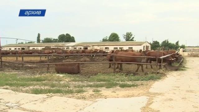 Перспективы и проблемы сельского хозяйства смотреть онлайн