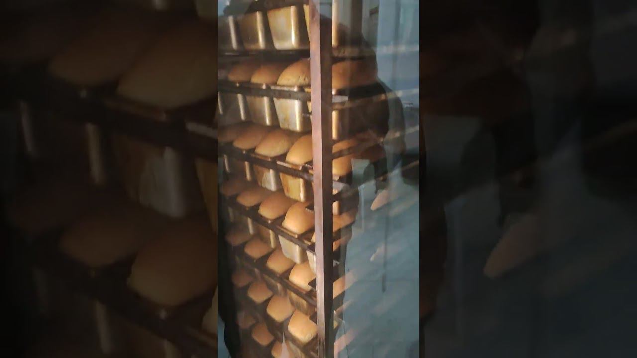 Revent 725 Baking bread Rack oven Revent 725 GAS #eduardoagroid #miwe #revent 725 Single Rack Oven смотреть онлайн