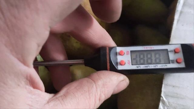Як зберігати груші в домашніх умовах правильно смотреть онлайн