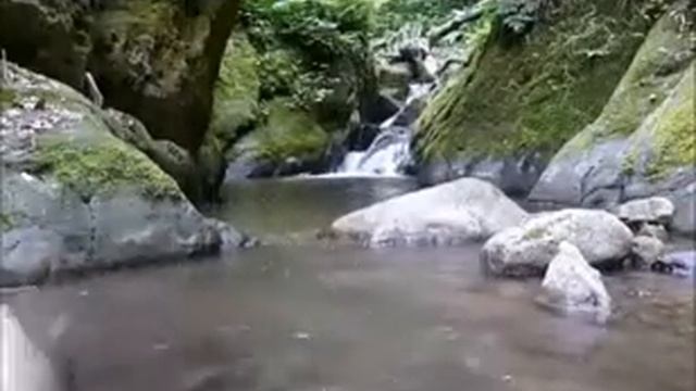 Река Рибница смотреть онлайн
