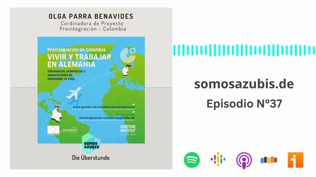 Pre-integración en Colombia del Goethe Institut смотреть онлайн