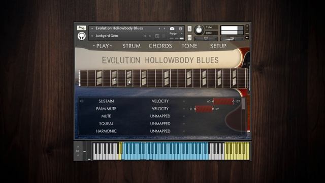 Evolution Hollowbody Blues - Factory Presets Demo