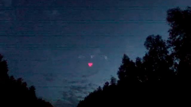 Косуля Беларусь смотреть онлайн