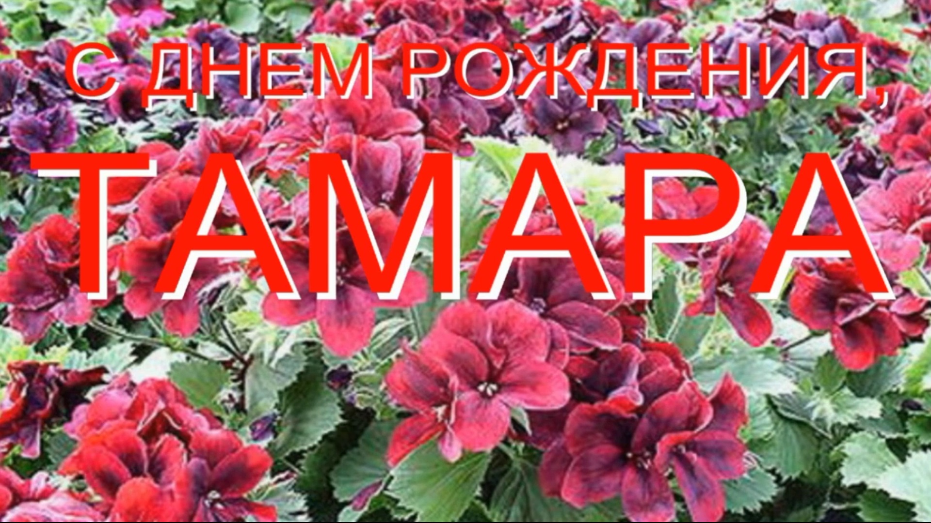 ТАМАРА, С ДНЕМ РОЖДЕНИЯ смотреть онлайн