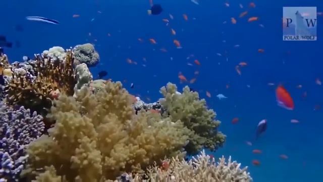 Гороскоп на сегодня 7 ноября 2021 года для всех знаков зодиака. Гороскоп на завтра 7 ноября 2021 смотреть онлайн