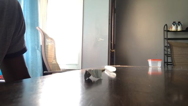 Real Telekinesis ~ How To Do Telekinesis Tips (for Beginners)