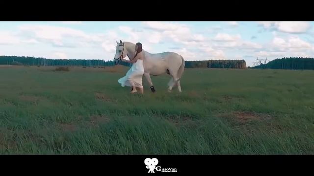 В ТАНЦЕ С ЛОШАДЬЮ / КЛИП С БОЖЕСТВЕННЫМ КОНЕМ смотреть онлайн
