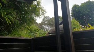 Anantara Mai Khao Phuket Villas 5* семейные уединение виллы на красивой территории