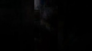 выставки в Китае. реально ли без языка?