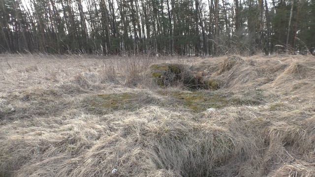Сморгонь. 31 марта 2019. Поиск передовой немецкой траншеи в р-не городского кладбища смотреть онлайн