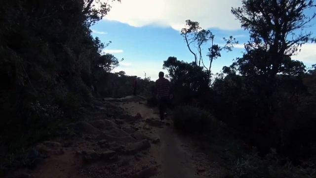 Национальный Парк Хортон // HORTON