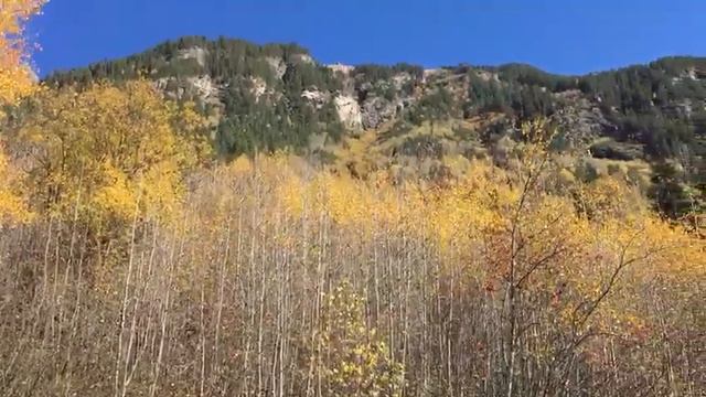 Осенний Махар смотреть онлайн