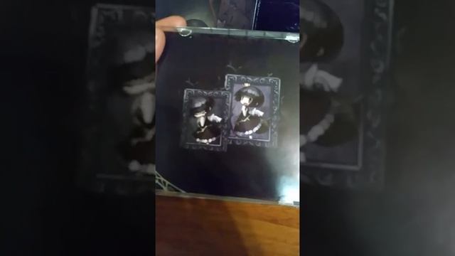 A rose in the twilight unboxing смотреть онлайн