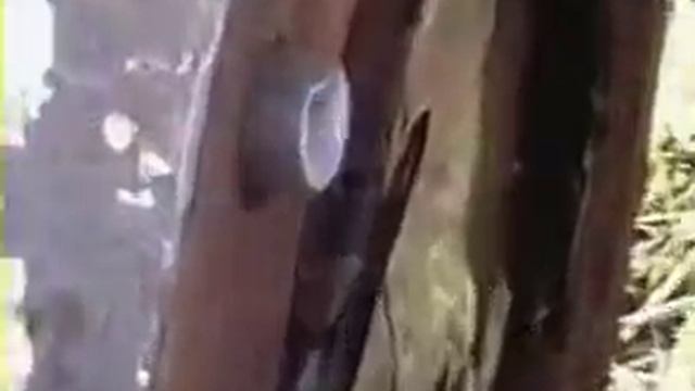 Демонтаж РЛС "Дуга" Калиновка смотреть онлайн