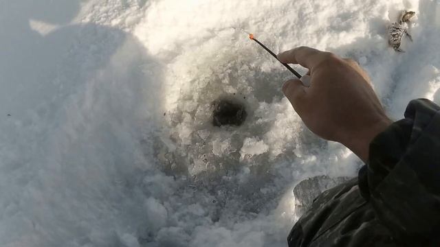 Ловля ОКУНЯ на ЩУЧЬЕМ озере . Рыбалка со льда . Декабрь 2020