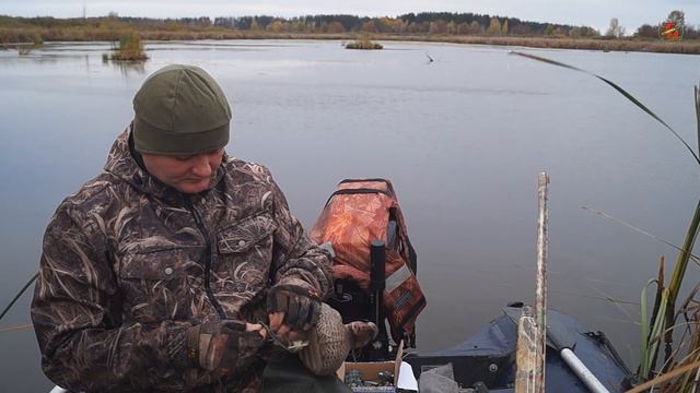 Удобная оснастка для утиных чучел. Результат, удачная охота! смотреть онлайн