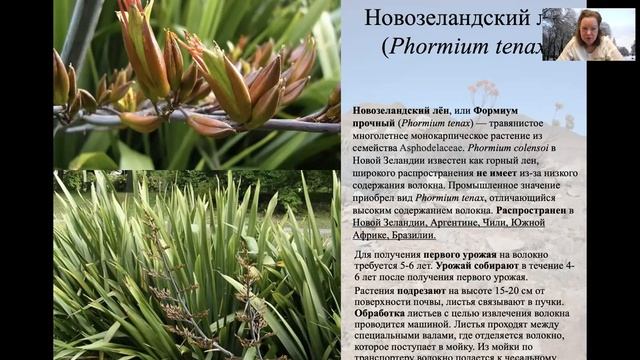 ЛЕКЦИЯ 3 ОДНОДОЛЬНЫЕ 1 смотреть онлайн
