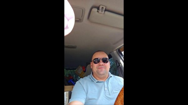 выгуливаю бегемота по Москве