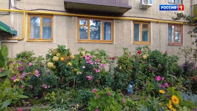 «Дежурный по району»: 2-ой Шацкая, 4 и Володарского, 6 смотреть онлайн