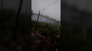 гроза в ртищево