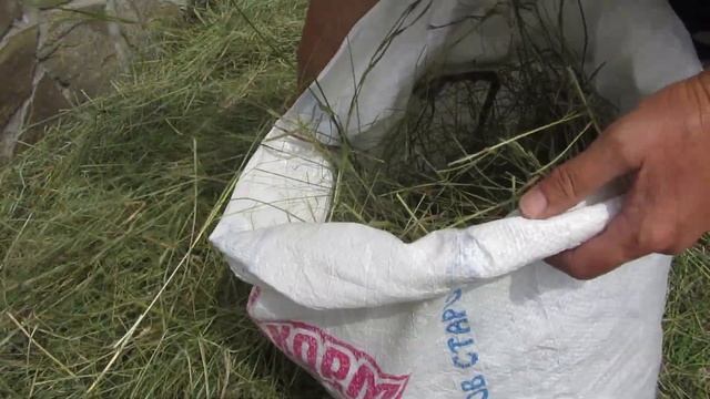 Сенокос!Заготавливаем душистое сено для кур! смотреть онлайн