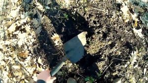 Плодородная земля из леса